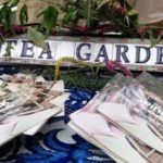 A tea garden
